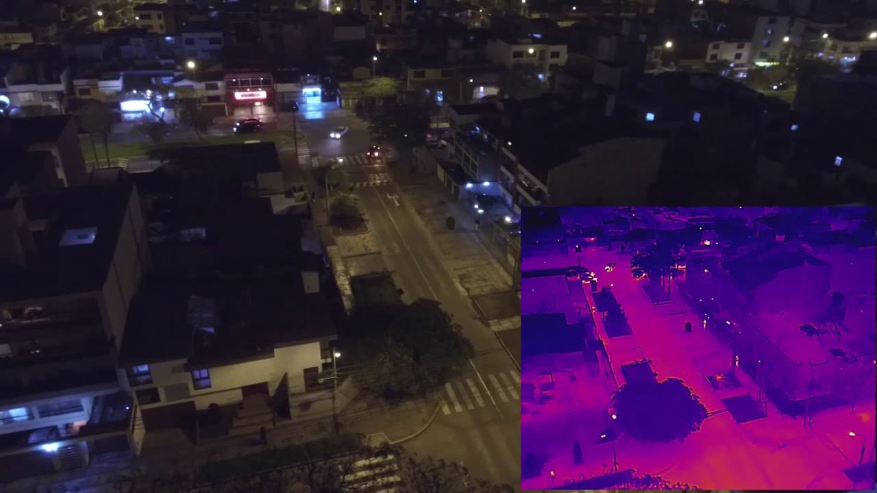 Seguridad y Vigilancia